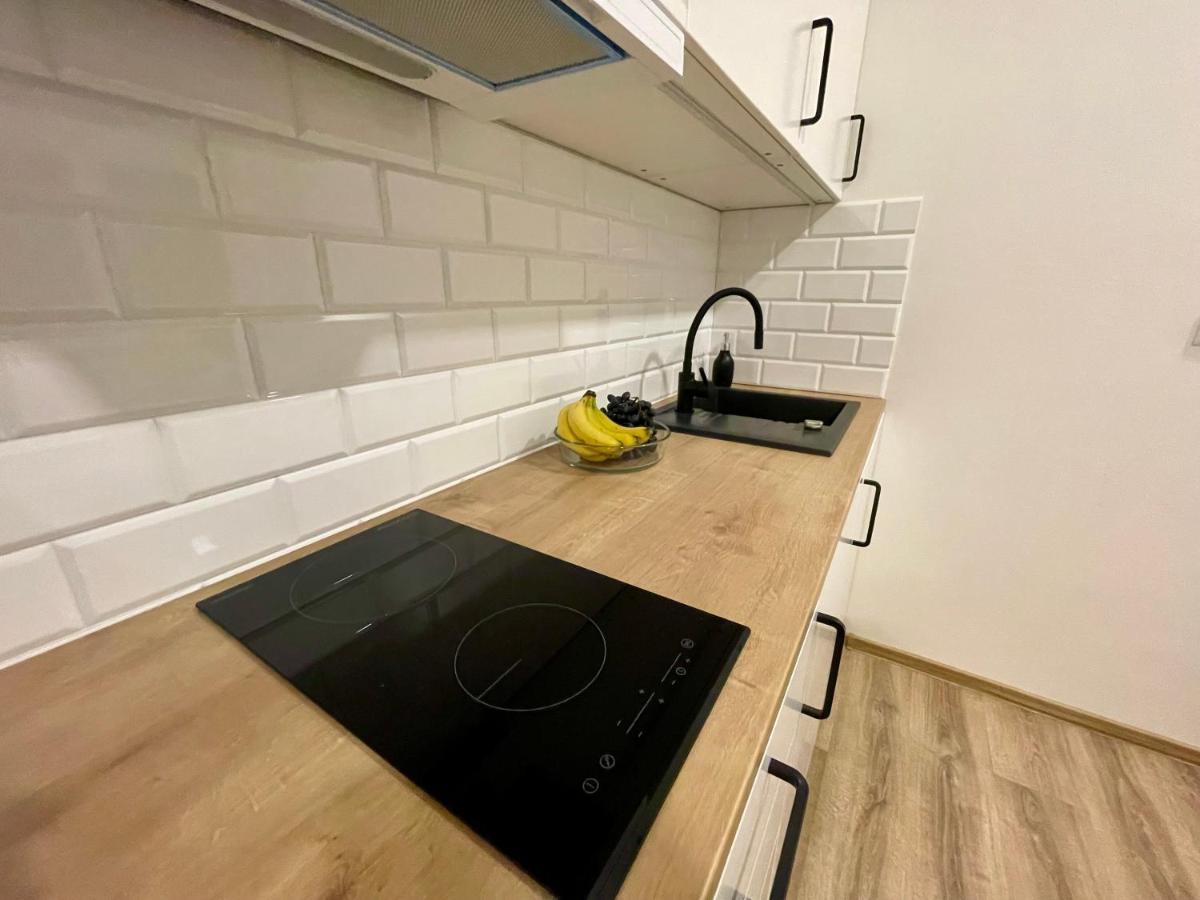 Historic Center Apartment Brünn